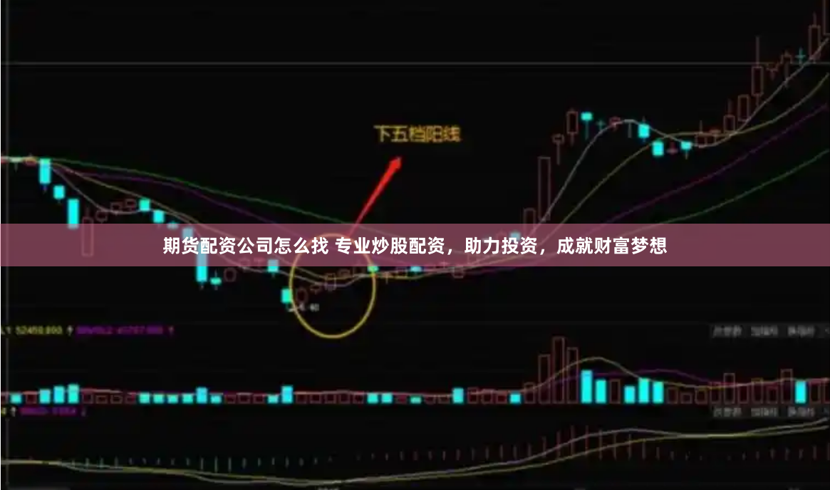 期货配资公司怎么找 专业炒股配资，助力投资，成就财富梦想