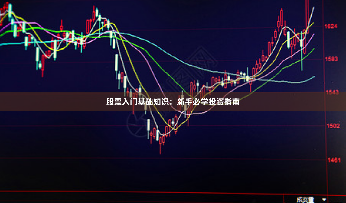 股票入门基础知识：新手必学投资指南